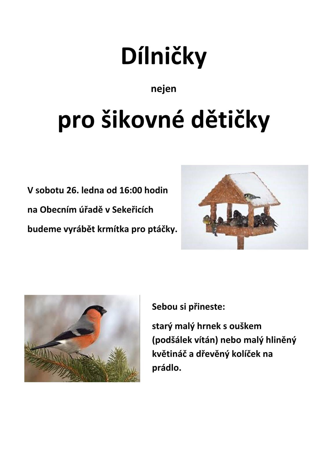 Krmítka pro ptáčky.jpg