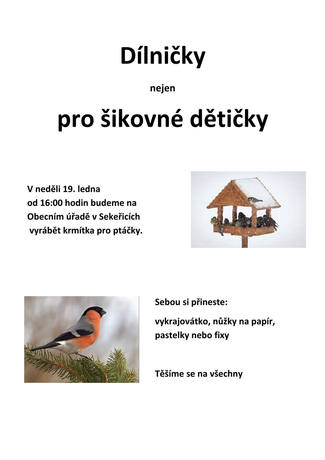 2020 - Krmítka pro ptáčky.jpg